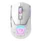 V7HDEA2BB4192EEFCE289ADDB55E3C34CCCR3640435P1