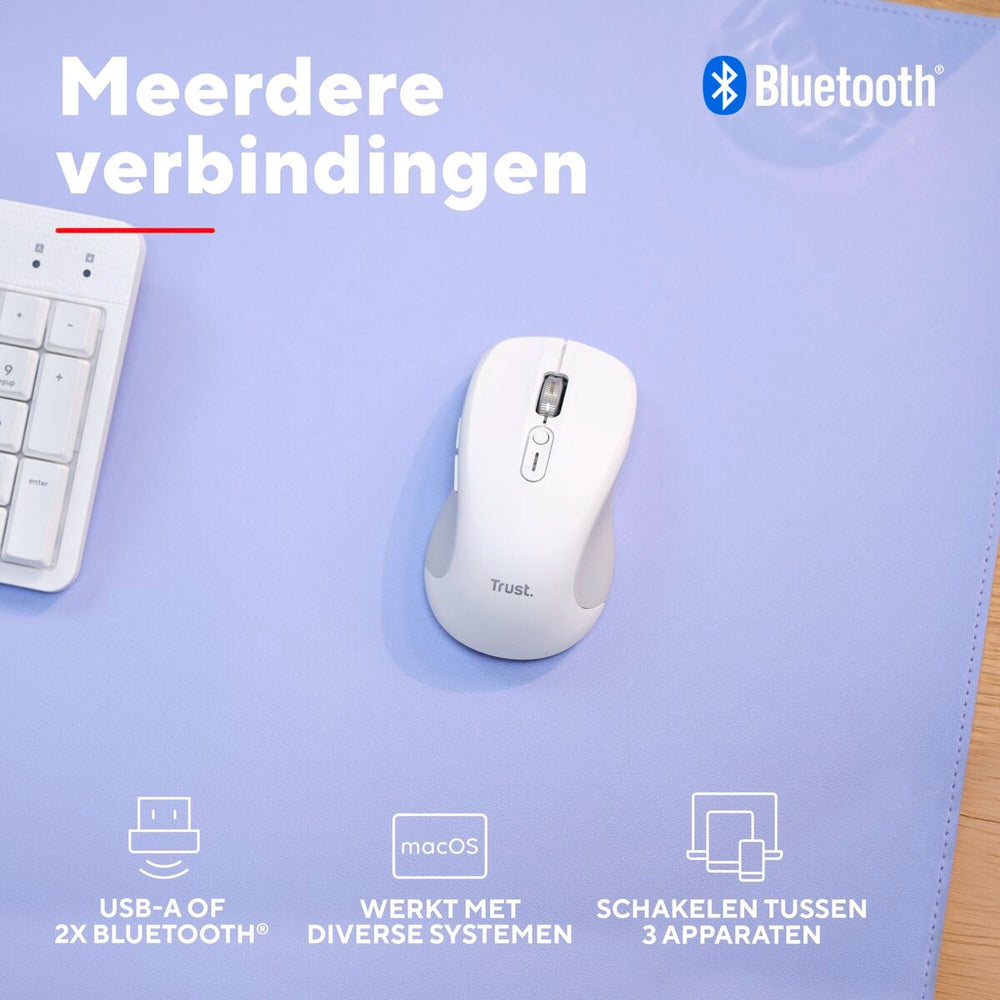 V4HFDC6026AB7B831C1642B9EBB55BB666DR7357450P8