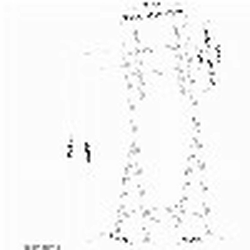 V4H2F37AB43DE8FB41F727D690C9CAFCF4FR5677975P8